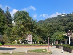 -广州白江湖森林公园