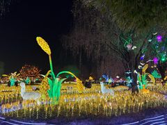 -国际非物质文化遗产博览园