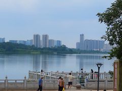 -荔湾湖公园