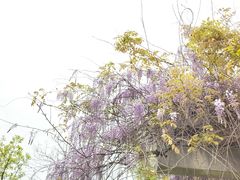 -白塘生态植物园