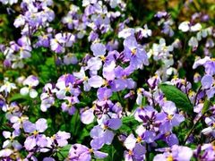 iphone_upload_pic-横山寺