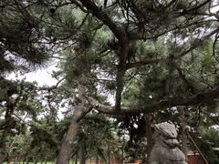 -北陵公园