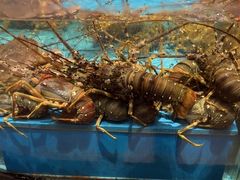 -阿伟海鲜楼·福建菜(延寿店)