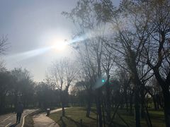 -洨河生态公园