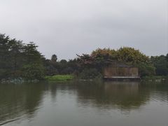 -海珠湖公园