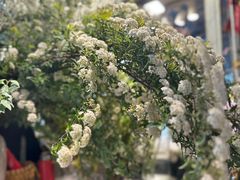 -朝来春花卉市场