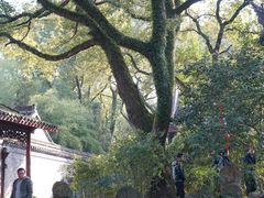 -天一阁博物院