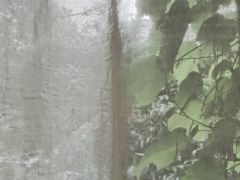 -陶享时光西餐·下午茶·竹林花园(新城店)