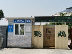 -鹦鹉洲湿地公园