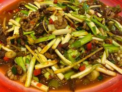 -新繁老號豌豆汤饭店·江湖菜(宝光寺店)