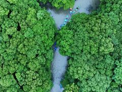 -动邦皮划艇·桨板·独木舟·团建户外运动俱乐部