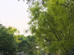 -仁和公园(顺义区)