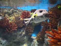 -福州罗源湾海洋世界旅游区