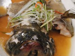 老虎斑-道道鲜·崇明私房菜(五角场店)