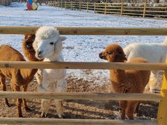 -江户前寿司(好运街店)