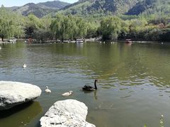 -西安秦岭野生动物园