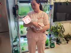 -天鹅到家·保姆月嫂育儿嫂(朝阳店)