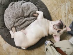 -YASAKI国际舞蹈中心