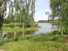 -东郊湿地公园