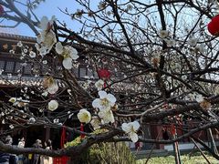 -钱王祠