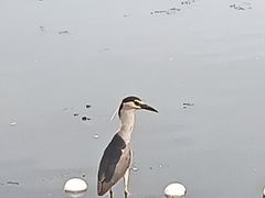 -什刹海