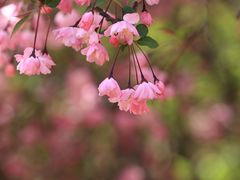 -国家植物园