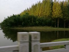 -黄海国家森林公园