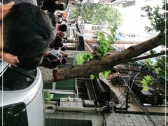 -老字号贾家肉丸糊辣汤(光明巷店)
