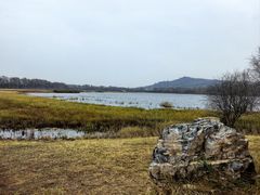 -御道口草原森林风景区