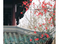 -棠湖公园