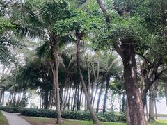-深圳湾公园(南山区)