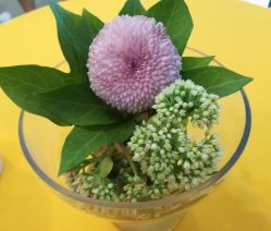 -安利上海体验馆