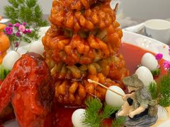 -丁老爷子苏香圆