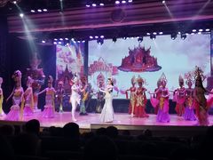 -金东尼人妖秀