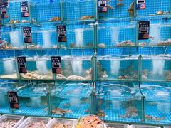 -小船渔村•大连菜•大连焖鱼(黄河路店)