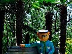 -济州岛泰迪熊博物馆