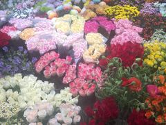 -双季花艺园艺市场(浦东店)