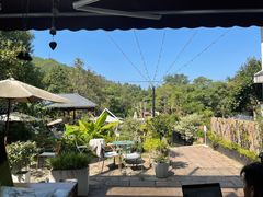 -Cafe In Little Forest