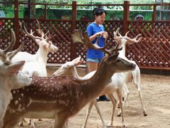 -北戴河集发农业梦想王国