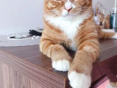-美联众合动物医院·24h京西诊疗中心