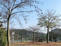 -顺峰山公园