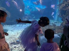 -海合安武汉极地海洋公园