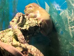 -上海大自然野生昆虫馆(东方明珠·爬宠昆虫探索中心)