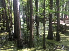 -东湖落雁景区