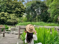 -成都市活水公园