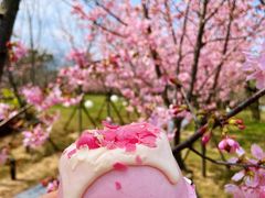 -福建鲤鱼洲酒店