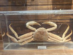 -多彩贵州城极地海洋世界