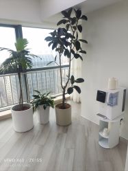 -HEYAN荷妍专业脱毛连锁机构