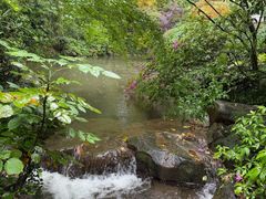 -中国茶叶博物馆(双峰馆区)