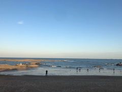 -日照海滨国家森林公园